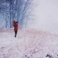 自动更新